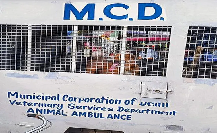 ఆ వీడియో చూసి.. మానవత్వం అంటే ఏమిటో చెప్పండి..! 