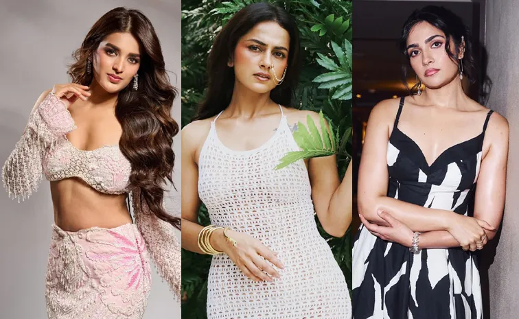 మెరిసిపోతున్న నిధి అగర్వాల్.. బార్బీ డాల్‌లా రుక్మిణి