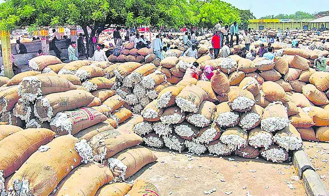 ఎకరాకు 12 క్వింటాళ్లు.. 