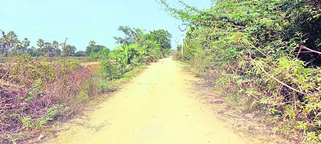 విలేజ్‌ వాయిస్‌