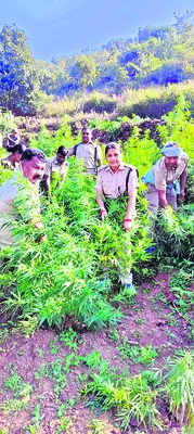 చొయితీ ఉత్సవాలకు శ్రీకారం 