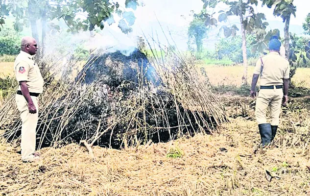 ధాన్యం కుప్పకు నిప్పు 
