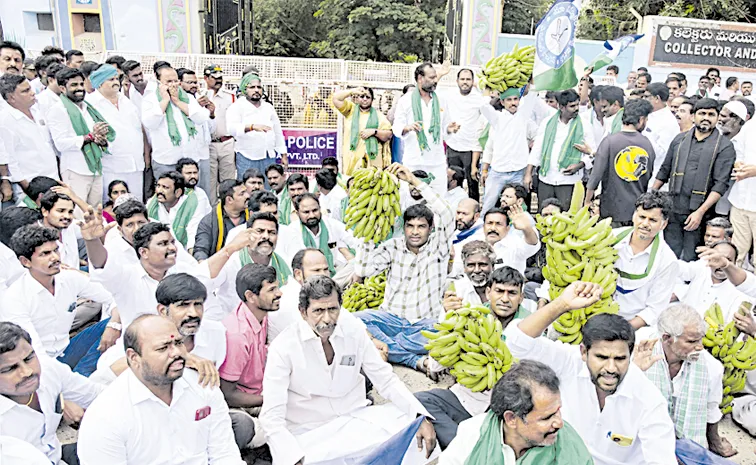 Banana Farmers Protest At Ananthapur Collectorate