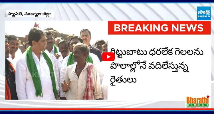 Nandyala: రైతులకు సంఘీభావంగా మాజీ మంత్రి బుగ్గన రాజేంద్రనాథ్ పాదయాత్ర