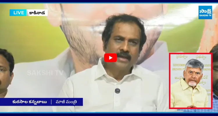 చంద్రబాబు డబల్ యాక్షన్ ఆయనే సీఎం, ఆయనే నిందితుడు