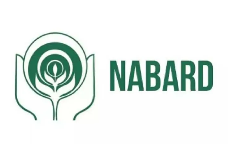 Chandrababu Govt provided guarantee for loan to DISCOMS from NABARD