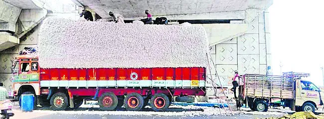 దళారులకే సం‘పత్తి’! 