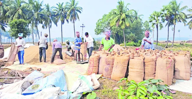 ఈ–పంట ఏ మాయో!