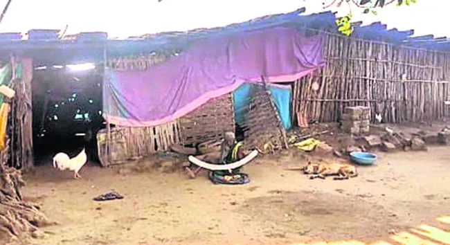 మావోయిస్టుల లొంగుబాటు