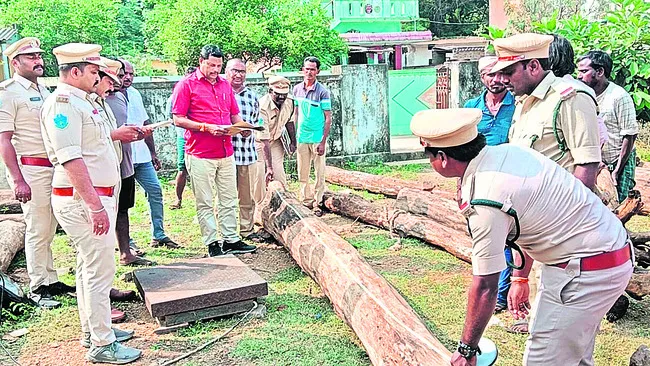 ఎర్రచందనం దుంగల పరిశీలన 