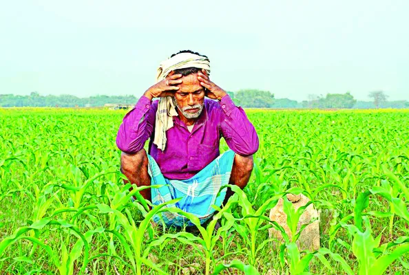 సున్నా లేదు.. పావలా అసలే లేదు! 