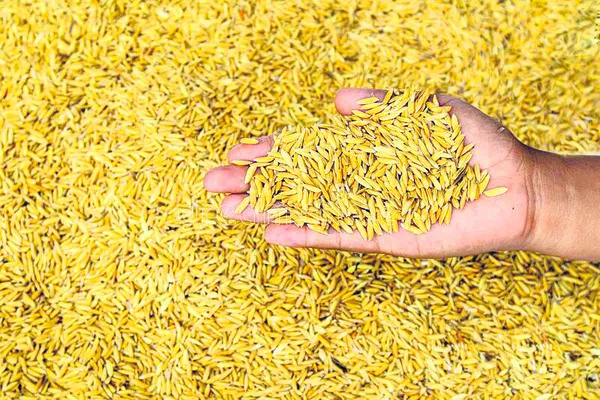 బోనస్‌.. జాప్యం 