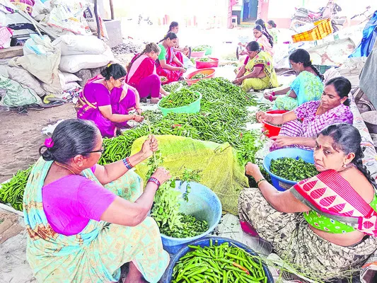 నాడు ఇబ్బడి ముబ్బడిగా ఆదాయం