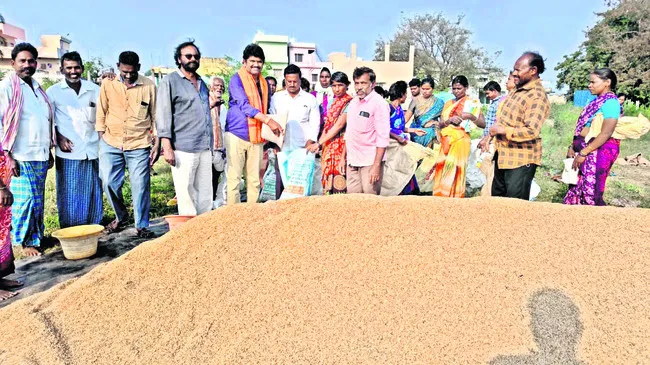 వంద బస్తాల వడ్లు ఉచితంగా పంపిణీ
