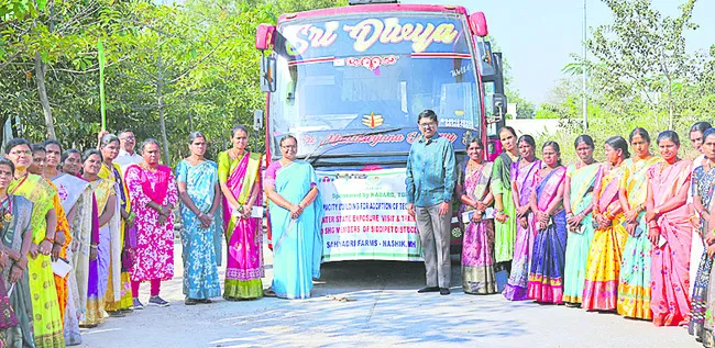 మెలకువలతో మెరవాలి