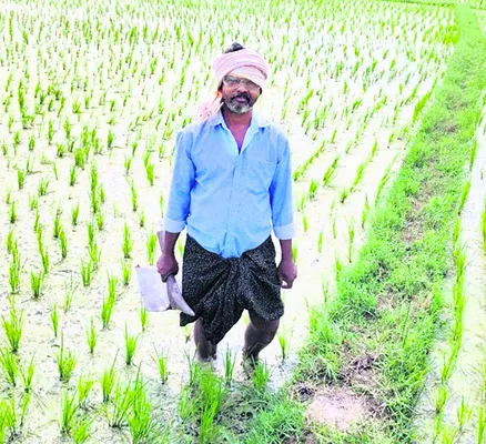 జగనన్న పాలన నా కుటుంబానికి స్వర్ణయుగం 