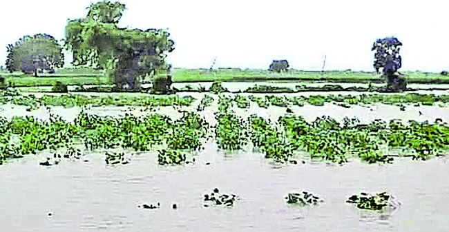 పరిహారం .. పరిహాసం 