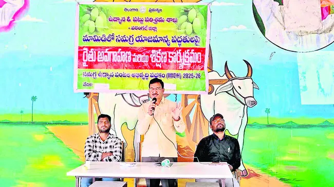 నాణ్యమైన మామిడిని పండించాలి