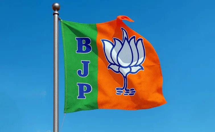 మహారాష్ట్ర ఎన్నికలు.. బీజేపీ జోరు