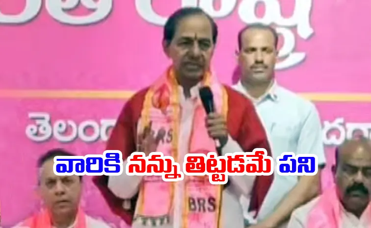 పార్టీ గుర్తుతో ఎన్నికలు జరిగితే మన సత్తా ఏమిటో తెలిసేది: కేసీఆర్‌