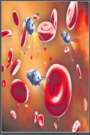 Scientists create microscopic robots that navigate blood vessels to treat strokes