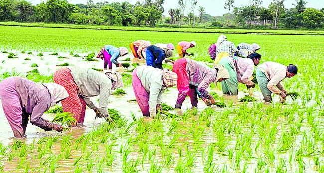 నిజామాబాద్‌