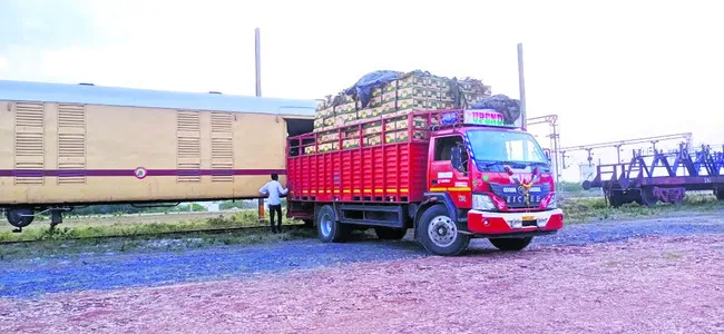 విదేశాలకు నిలిచిన అరటి ఎగుమతి 