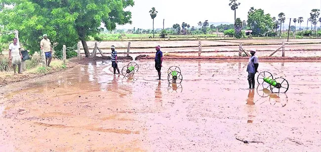 సరికొత్తగా సాగు.. దిగుబడులు బాగు