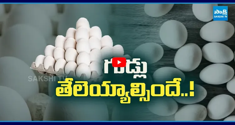 వామ్మో కోడి గుడ్డు! డబుల్ సెంచరీ దాటిన ట్రే