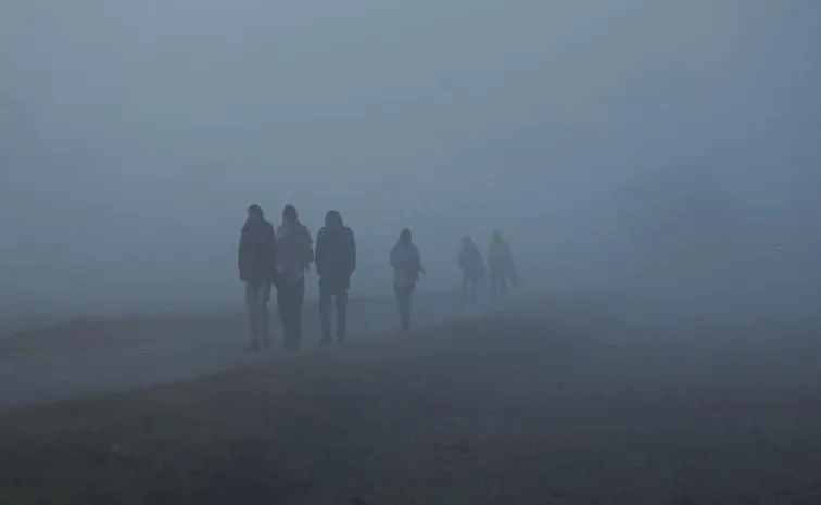 చలి చంపుతున్నా వ్యాపారం భళా