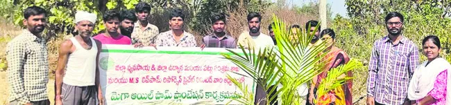 ఆయిల్‌పామ్‌ సాగుతో లాభాలు