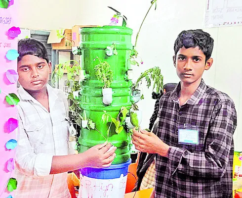 ఇంటి పంటల సాగుకు ప్రయోజనకారి 
