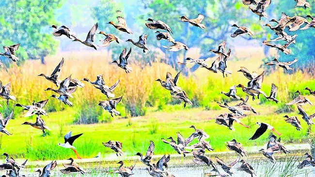 రామసక్కని నేలకు రామ్సర్‌