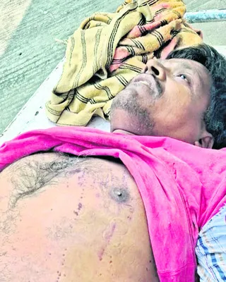 కుక్క తెచ్చిన తంటా!.