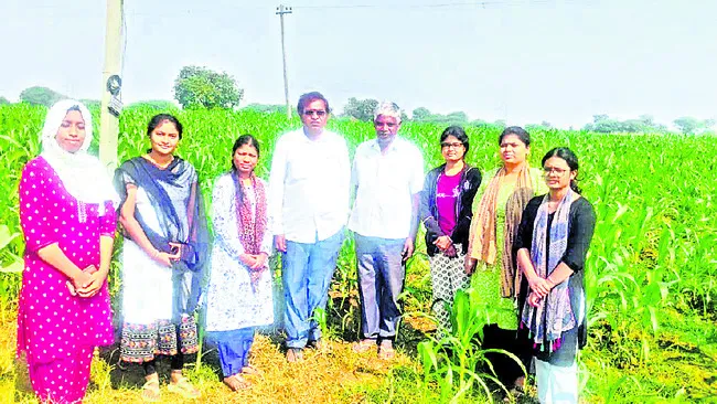 ఈ నెలాఖరులోగా నారు వేసుకోవాలి