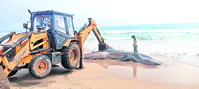 సంపద పోయినా.. ప్రాణం దక్కలేదు 