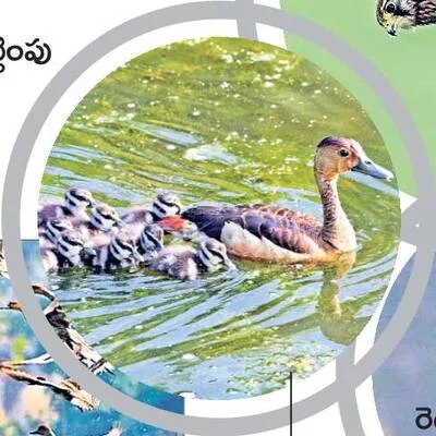 రామసక్కని నేలకు రామ్సర్‌