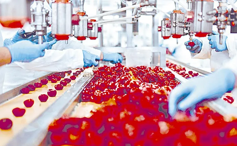 Decision to use modern technology in food processing for international standards: Telangana