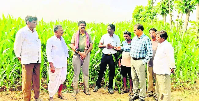 జీవన ఎరువులతో అధిక దిగుబడులు