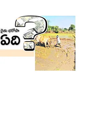 సాగు విస్తీర్ణం అంచనా..(ఎకరాల్లో..)
