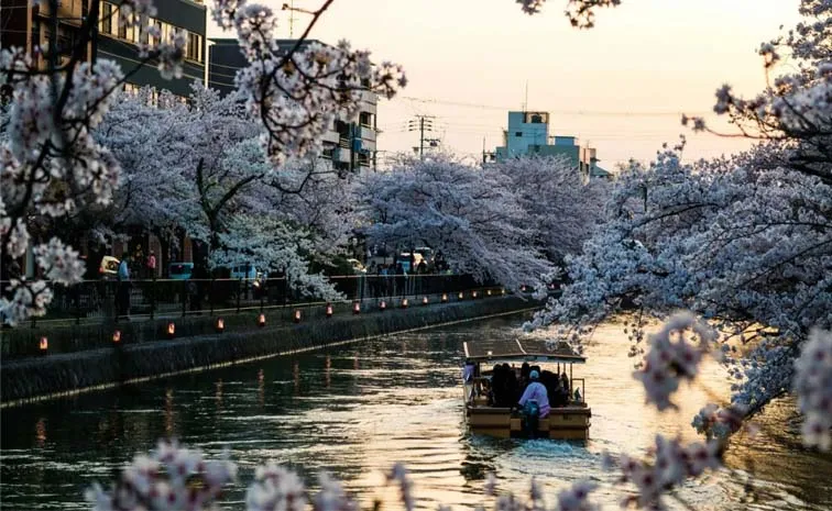 AliExpress has released its latest Travel Trends 2026 report