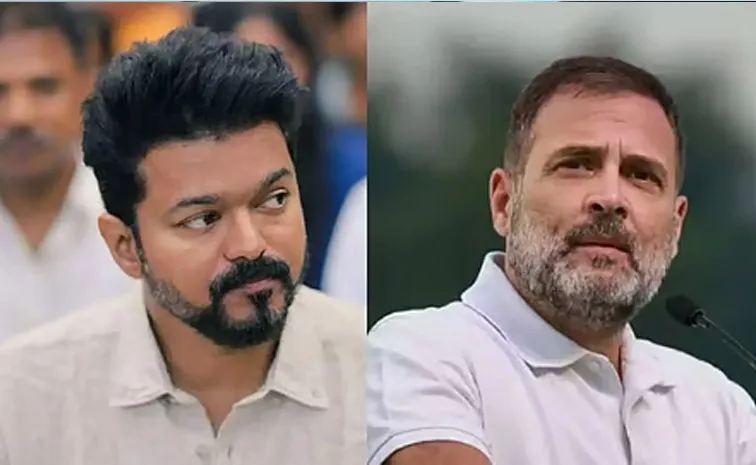 I'm Always With You: Rahul Told Vijay After Karur Tragedy