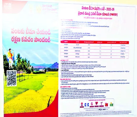 బీమా.. గీమా.. నై! 