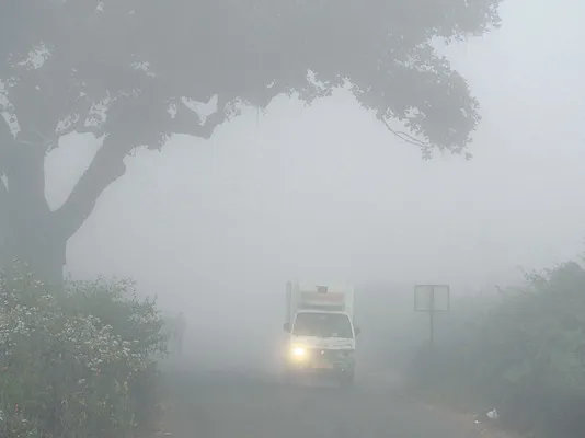 కొనసాగుతున్న చలి తీవ్రత
