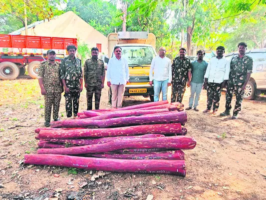 ఎర్రచందనం దుంగలు స్వాధీనం