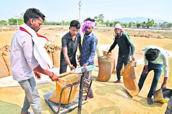 4.86 లక్షల టన్నుల ధాన్యం కొనుగోలు