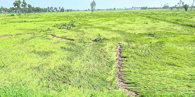 కర్షకులకు కష్టకాలం 