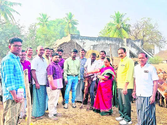 నట్టల నివారణ మందుతో జీవాలకు ఆరోగ్యం