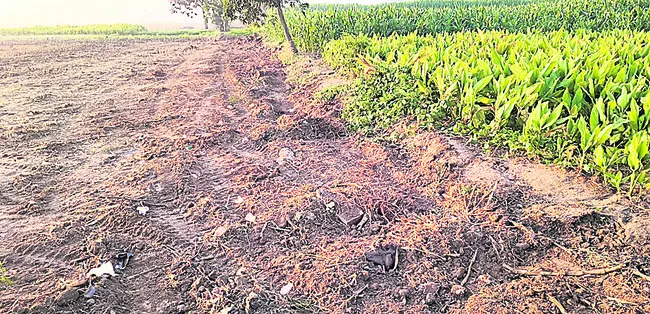 కబ్జా చేసి.. కలిపేసి!