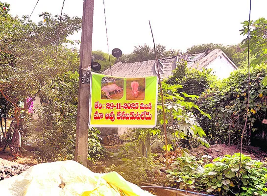 అమ్మన